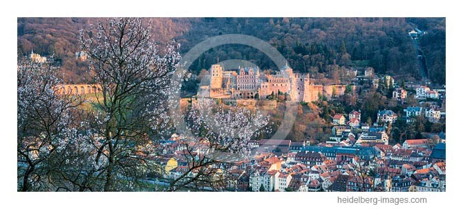 Archiv-Nr. hc2014117 | Frühlingsblüten vor dem Schloss