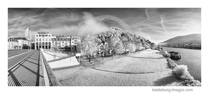 Archiv-Nr. h2016152 | Neckarwiese auf der Neuenheimer  Seite