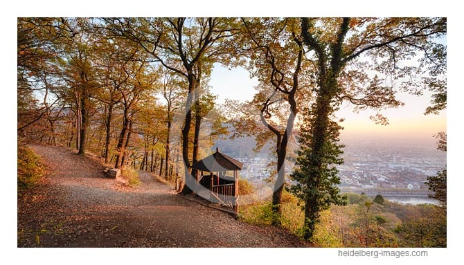 Archiv-Nr. hc2020177 | Fuchsrondell in den letzten Sonnenstrahlen