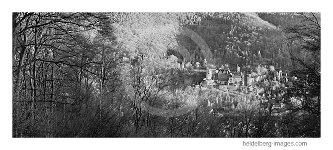 Archiv-Nr. h2012112 | Blick vom Heiligenberg auf das Schloss