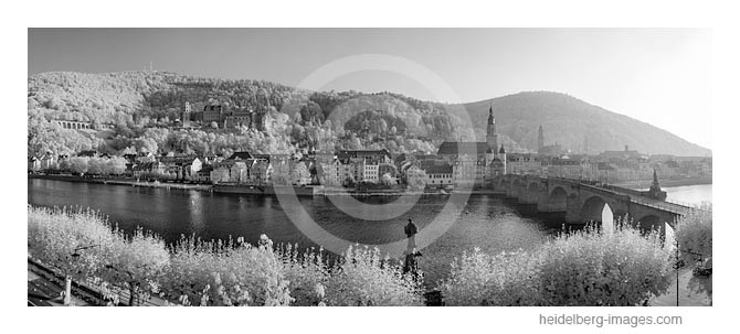 Archiv-Nr. h2012178 | Heidelberg, Altstadtansicht 