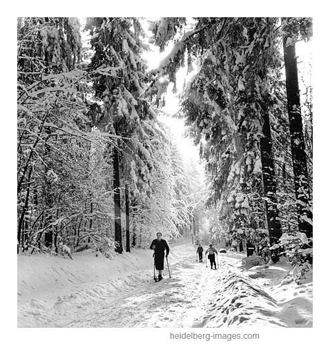 Archiv-Nr. h14/3 Skipiste vom Königstuhl bis in die Weststadt