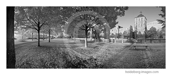 Archiv-Nr. h2010169 | Schlossgarten