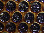 ▲洗浄前のグリスフィルター