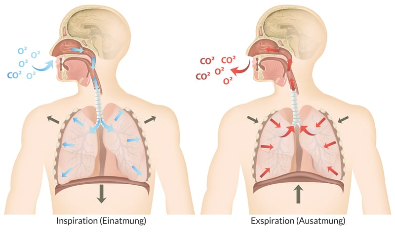 Asthmahilfe Österreich