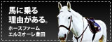 愛知・豊田の乗馬クラブ…エルミオーレ豊田