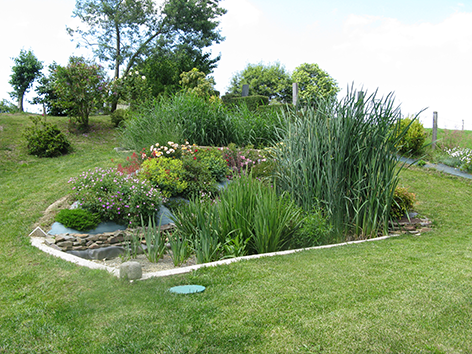 Réalisation d’une phytoépuration 