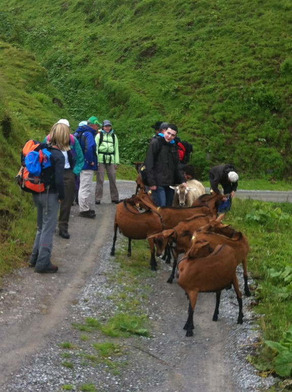 Mit treuen Begleiter wie Passivmitglieder;-)