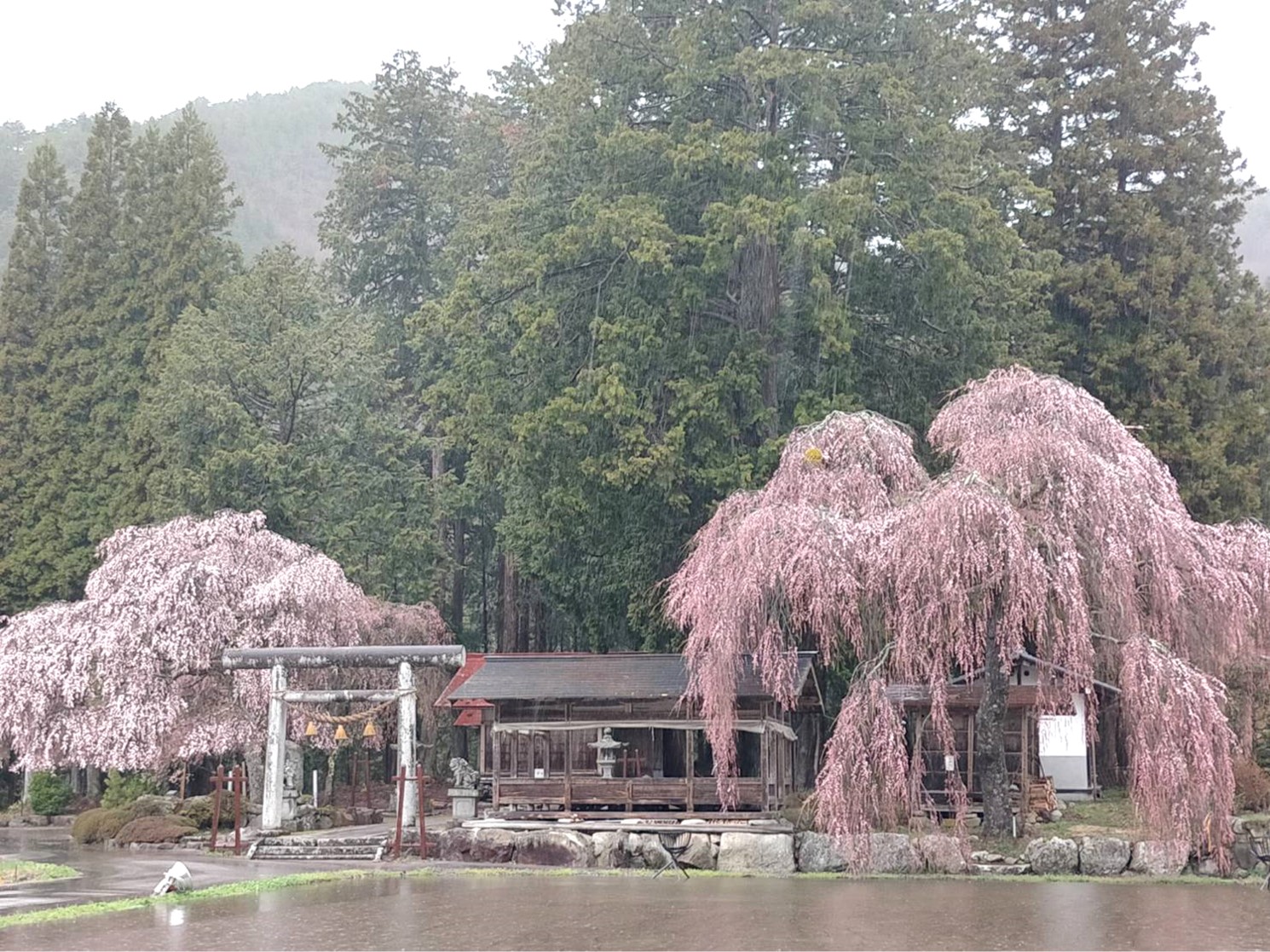 青屋神明神社