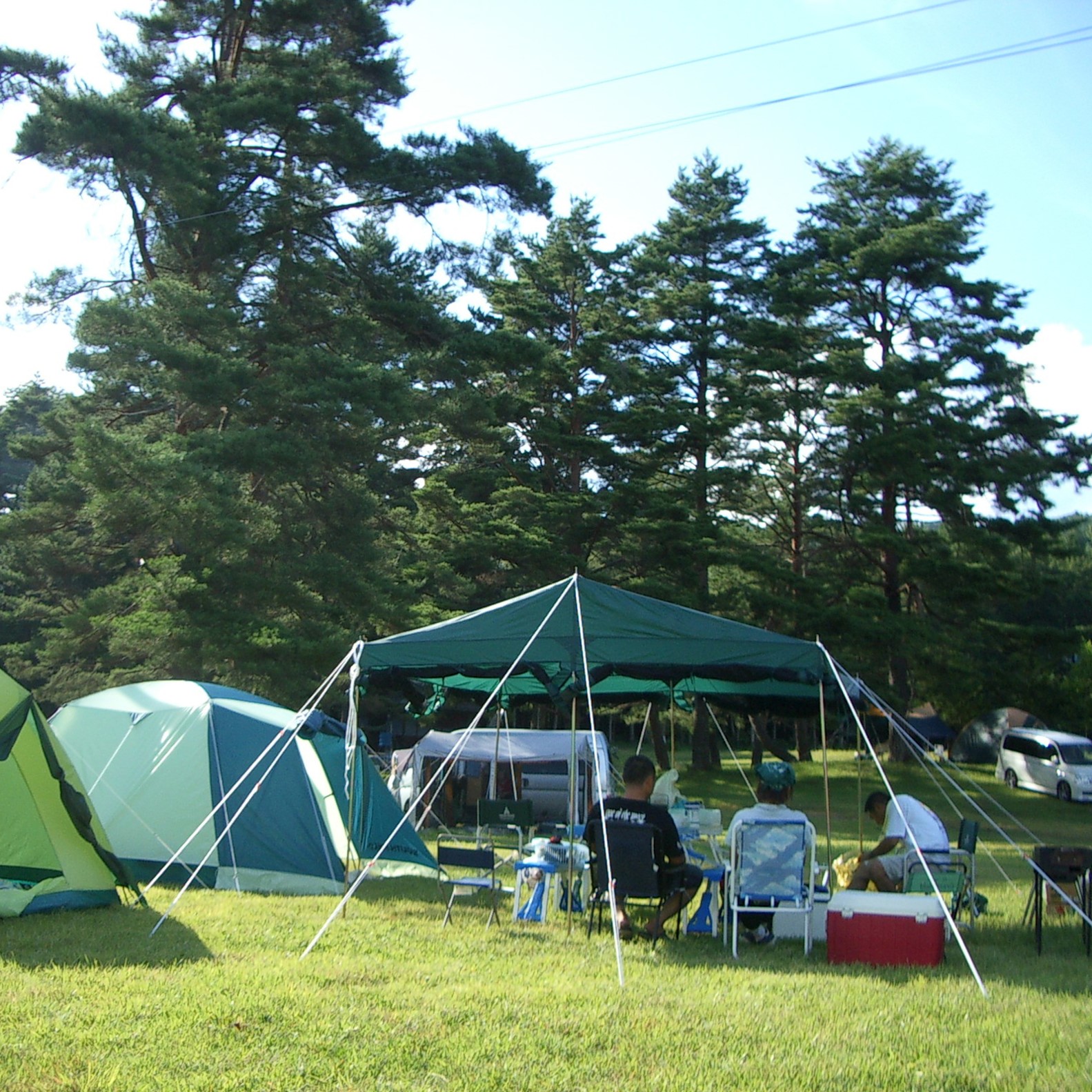 キャンプサイトはフリー区画