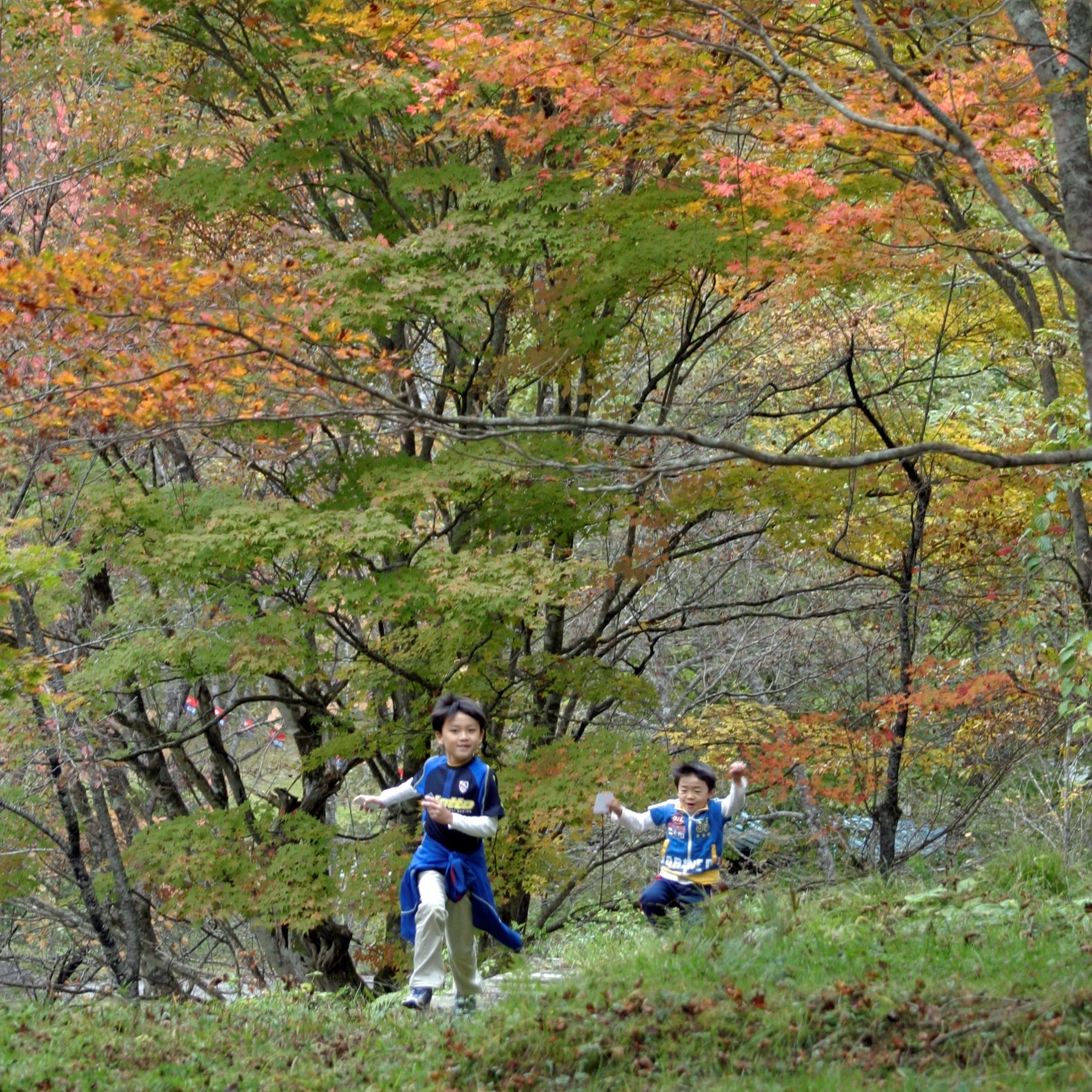秋（１０月中旬）は紅葉がきれい！