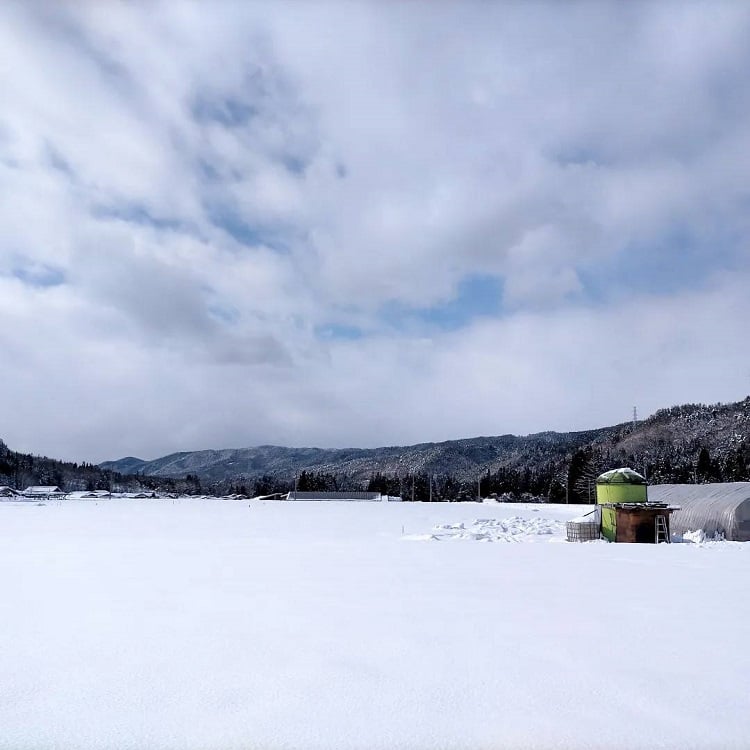 一時の晴れ間にパシャ！