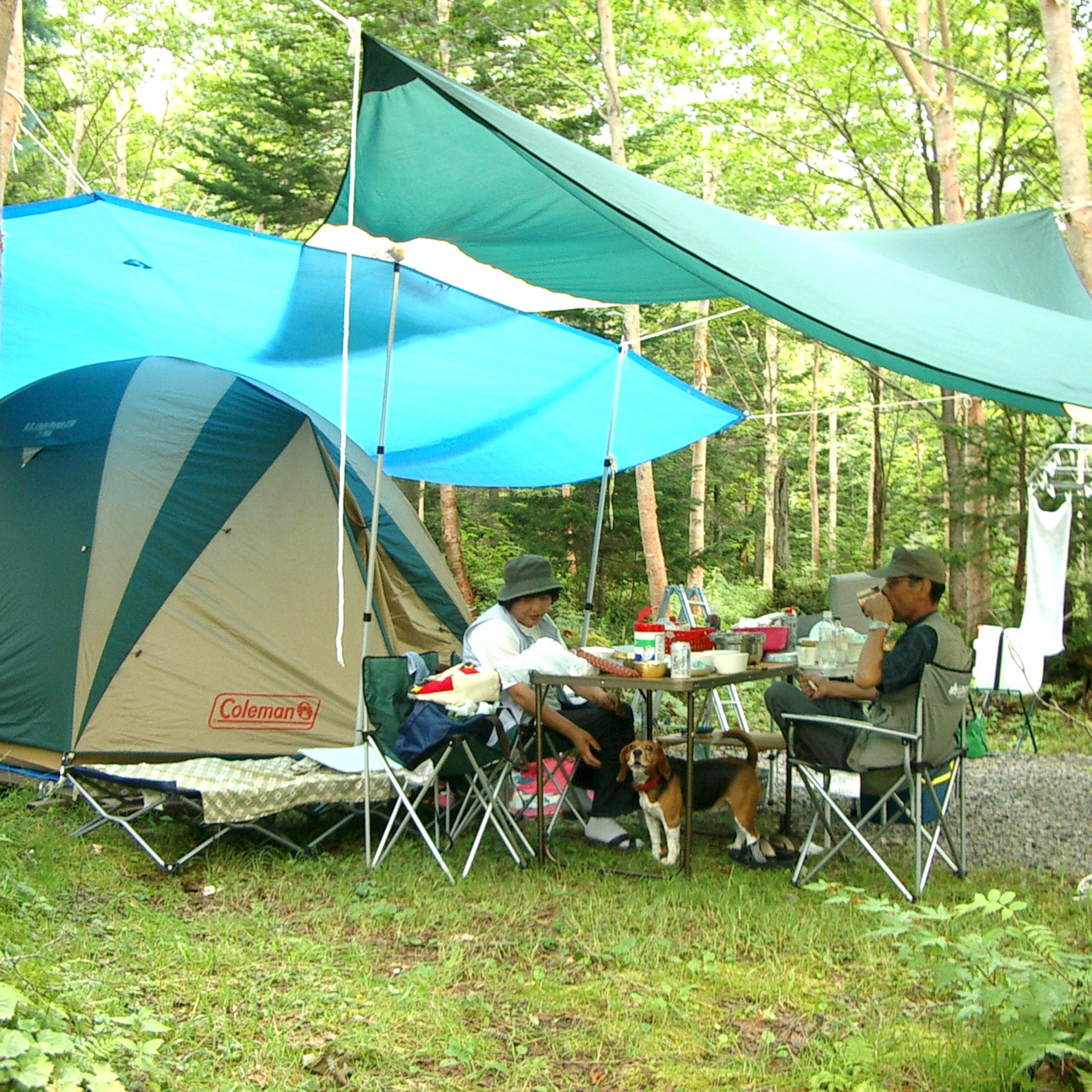 これこそが大自然！自然を満喫しましょう