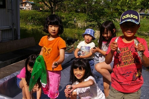 旅行をともにするお子様は魚の手掴み体験も出来ます