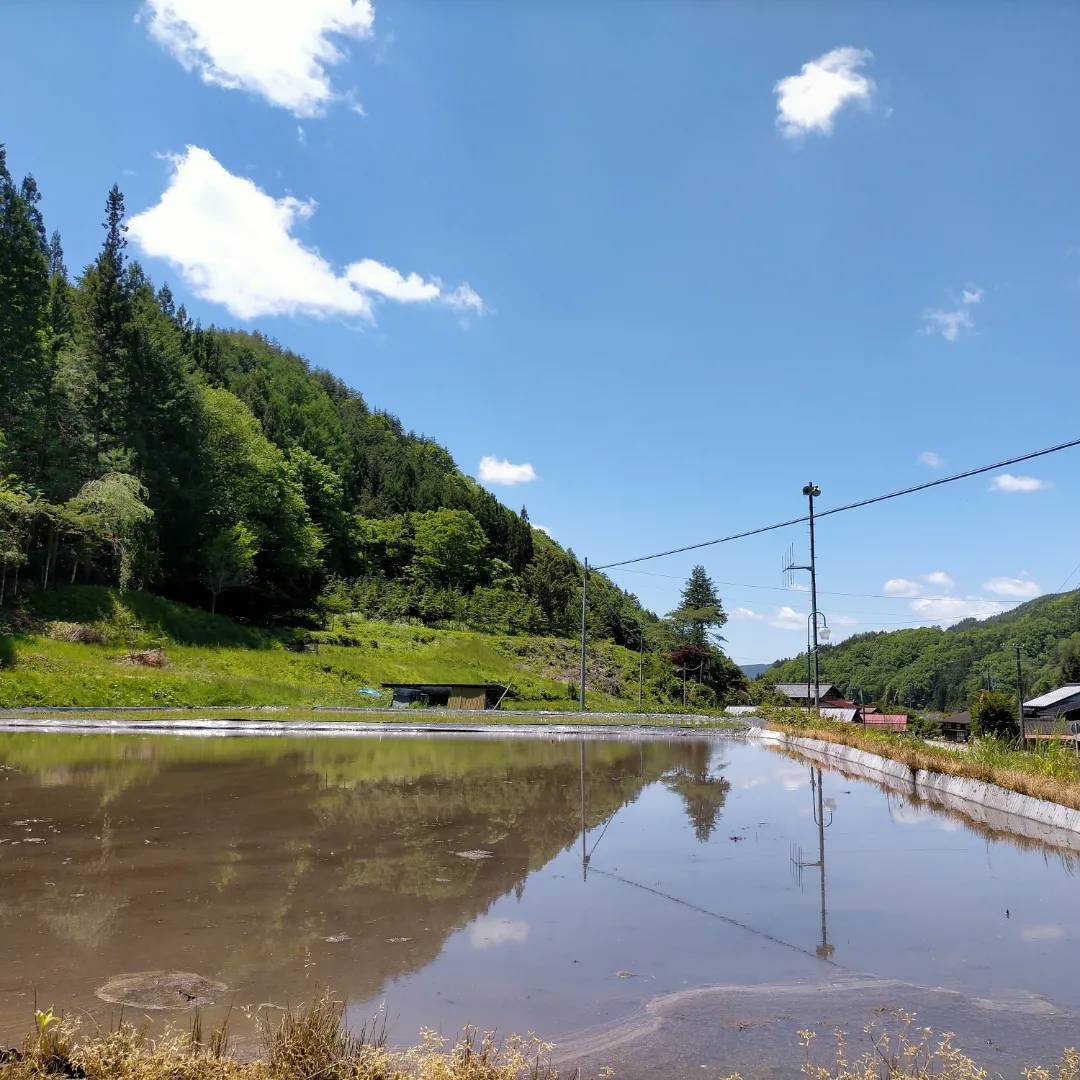 田んぼリフレクション