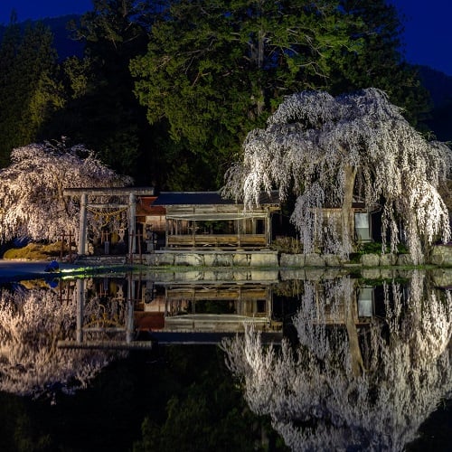 2018年優秀作品　匿名希望