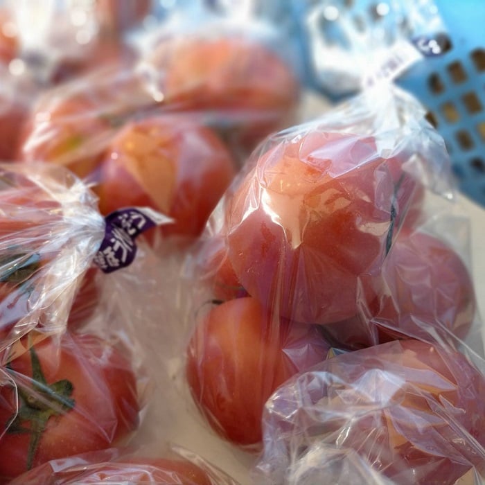 飛騨あさひはトマトが旨い！