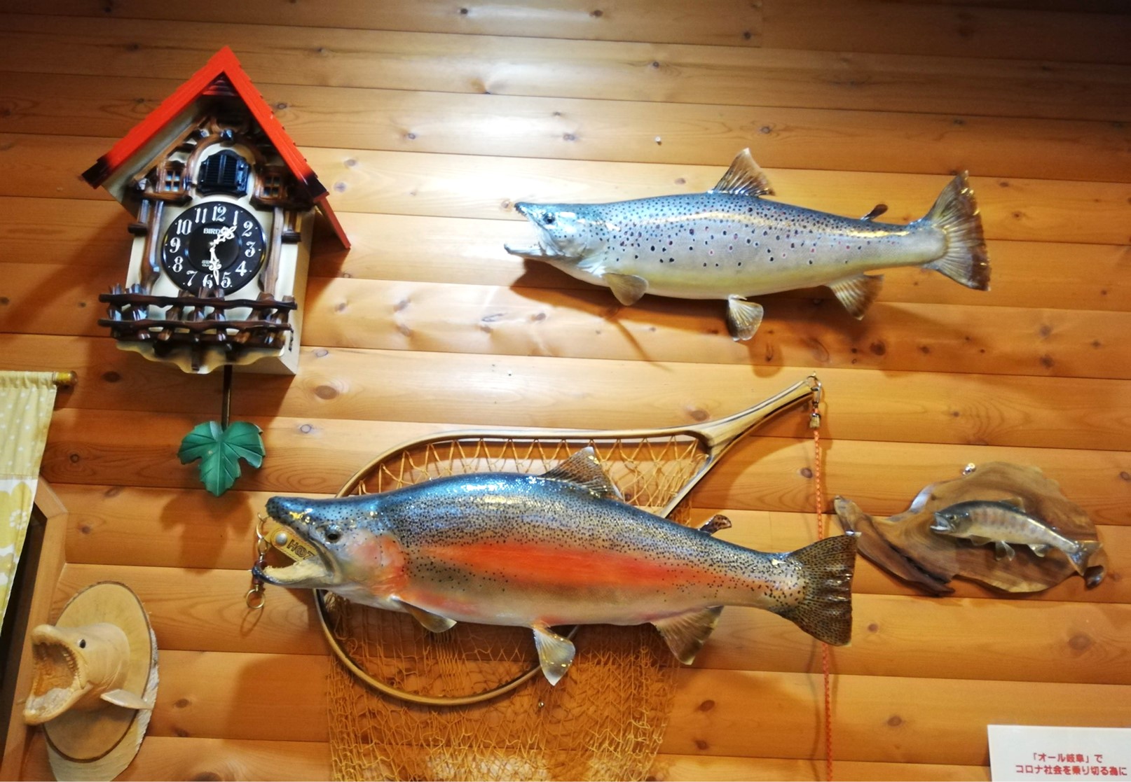 大きな剥製がずらり