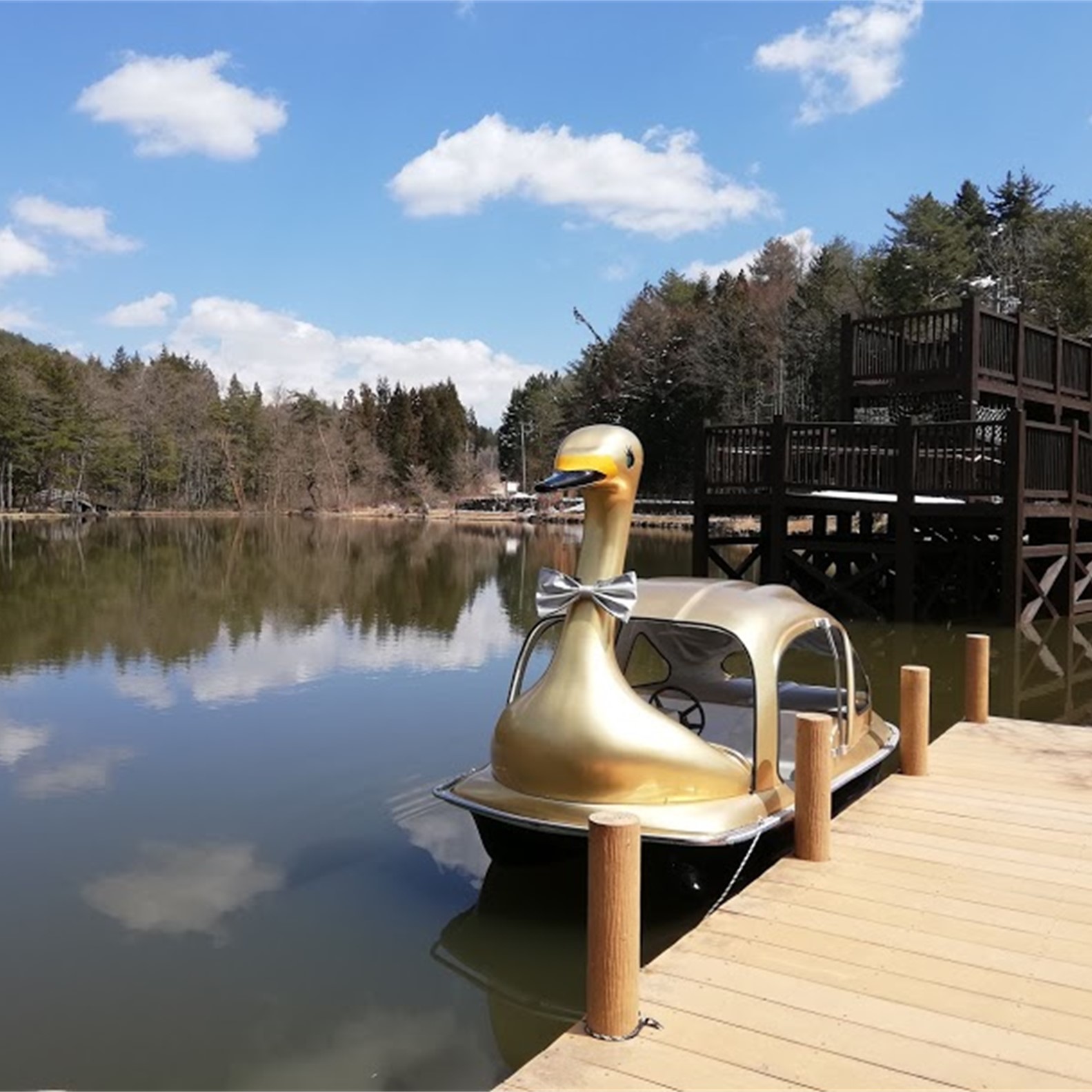 幸運を呼ぶ！？金のスワンボート