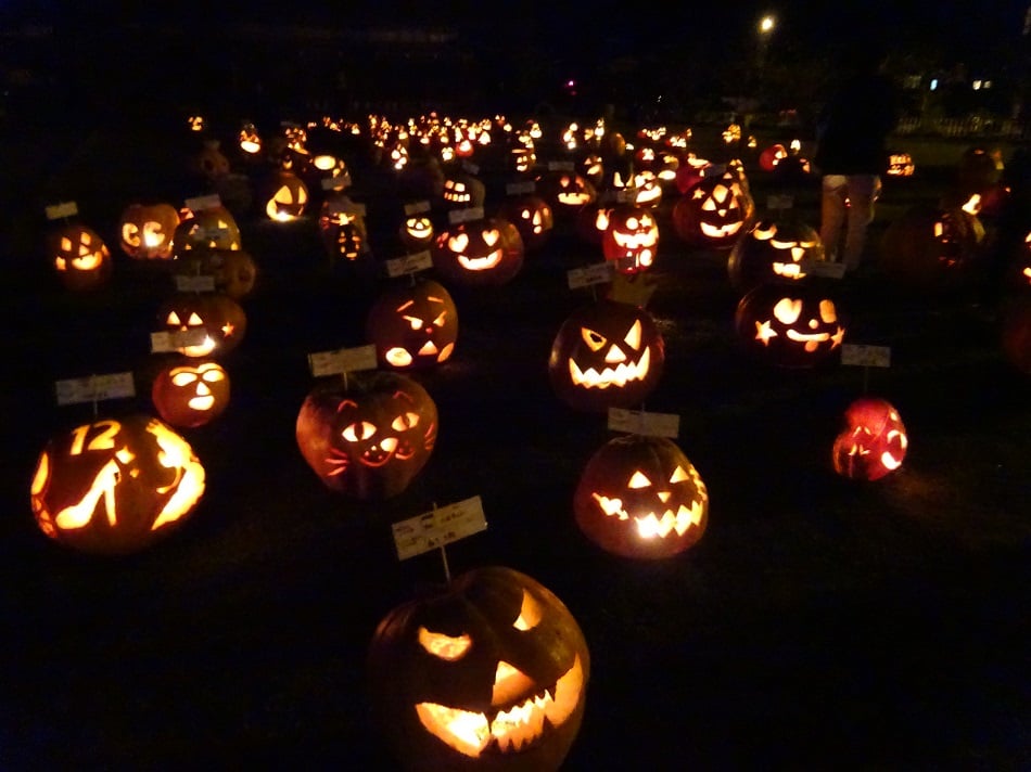 ハロウィンイベント中止！だが…