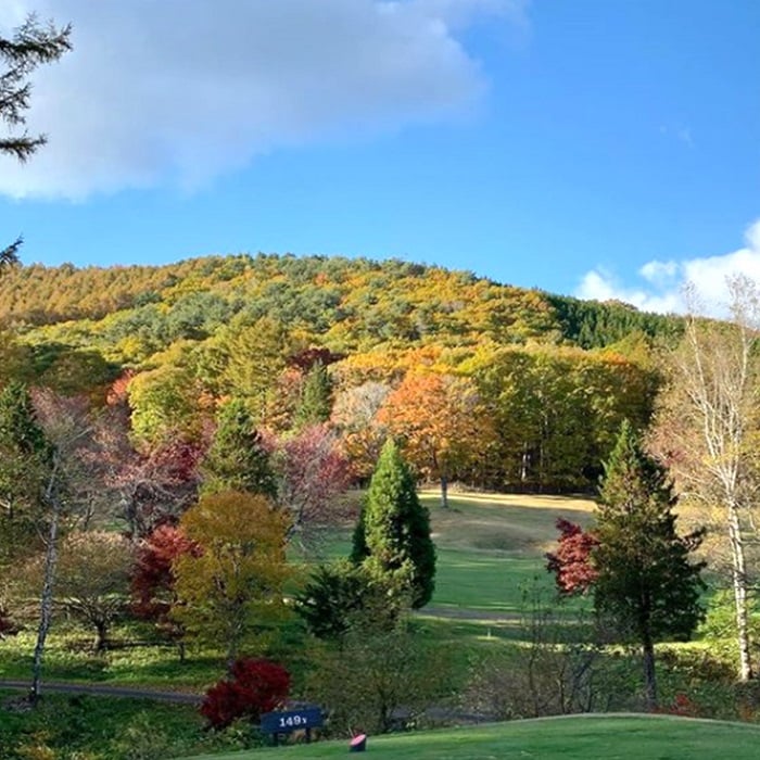 10月中旬より紅葉が楽しめます