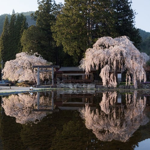 2018年優秀作品　亀山大輔様