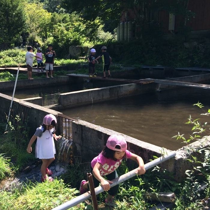 釣り堀もあるから誰でも釣りが楽しめる