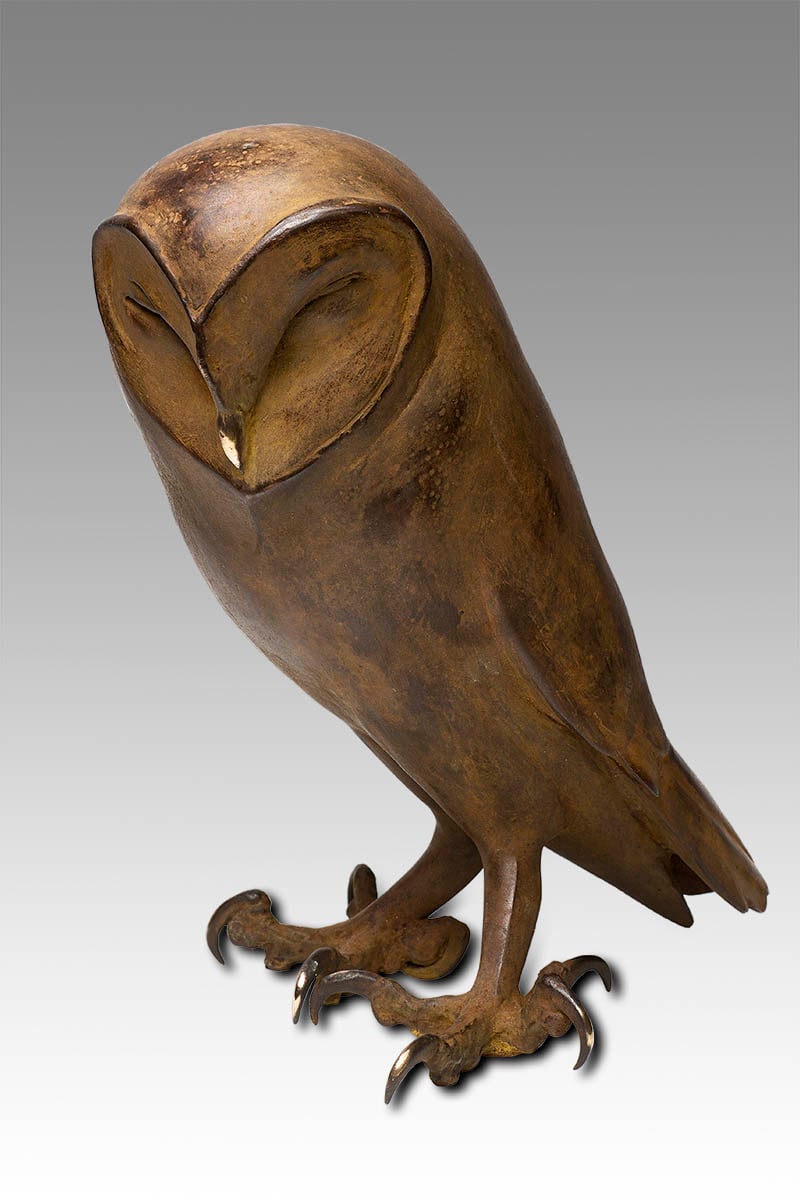 Barn owl (sneeuwuil), 23 cm