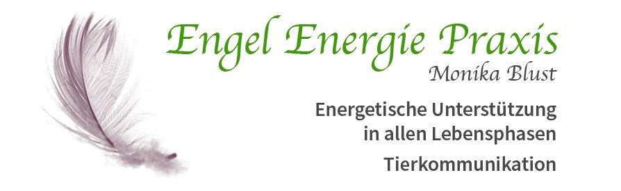 Engel Energie Praxis, Engel-Clearing, Amriswil