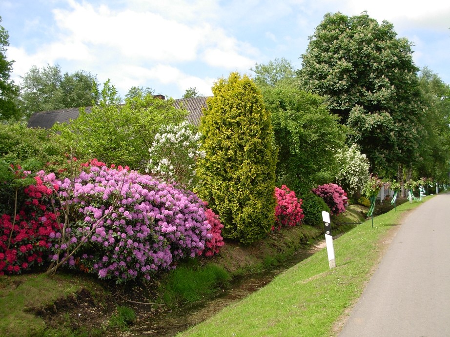 Kleinwörden hat sich hübsch gemacht....