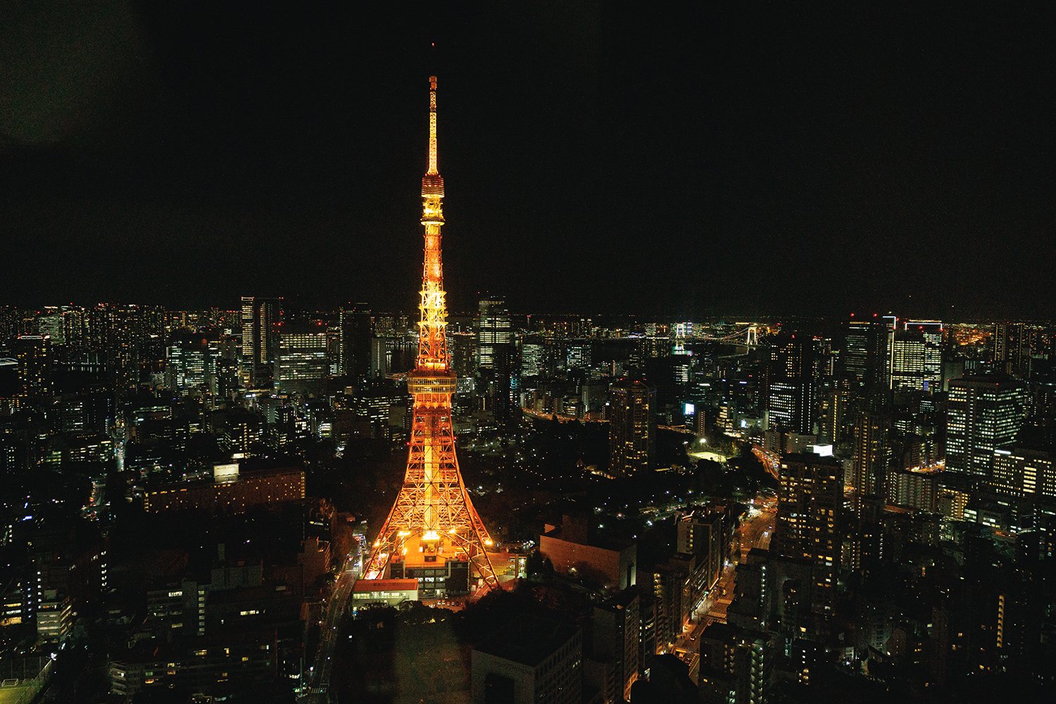 2024年12月2日 クリスマスディネアミカル