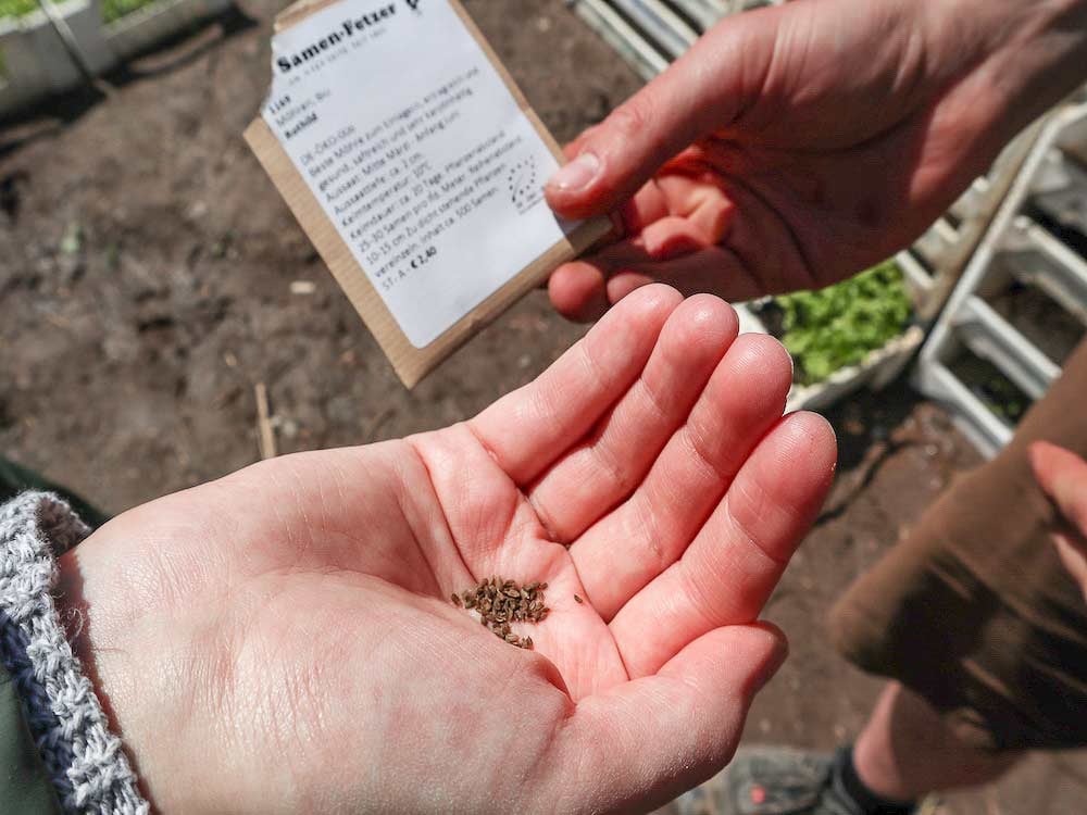 ... ein kleiner Anfang. Aber auch ein großes Wunder.