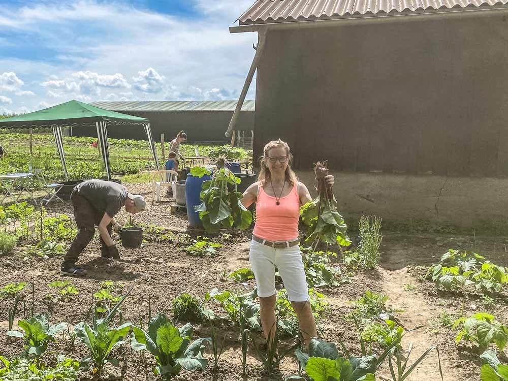 Stolz präsentiert eine Hofbeetlerin ihre ersten Rote Beete und Kohlrabi