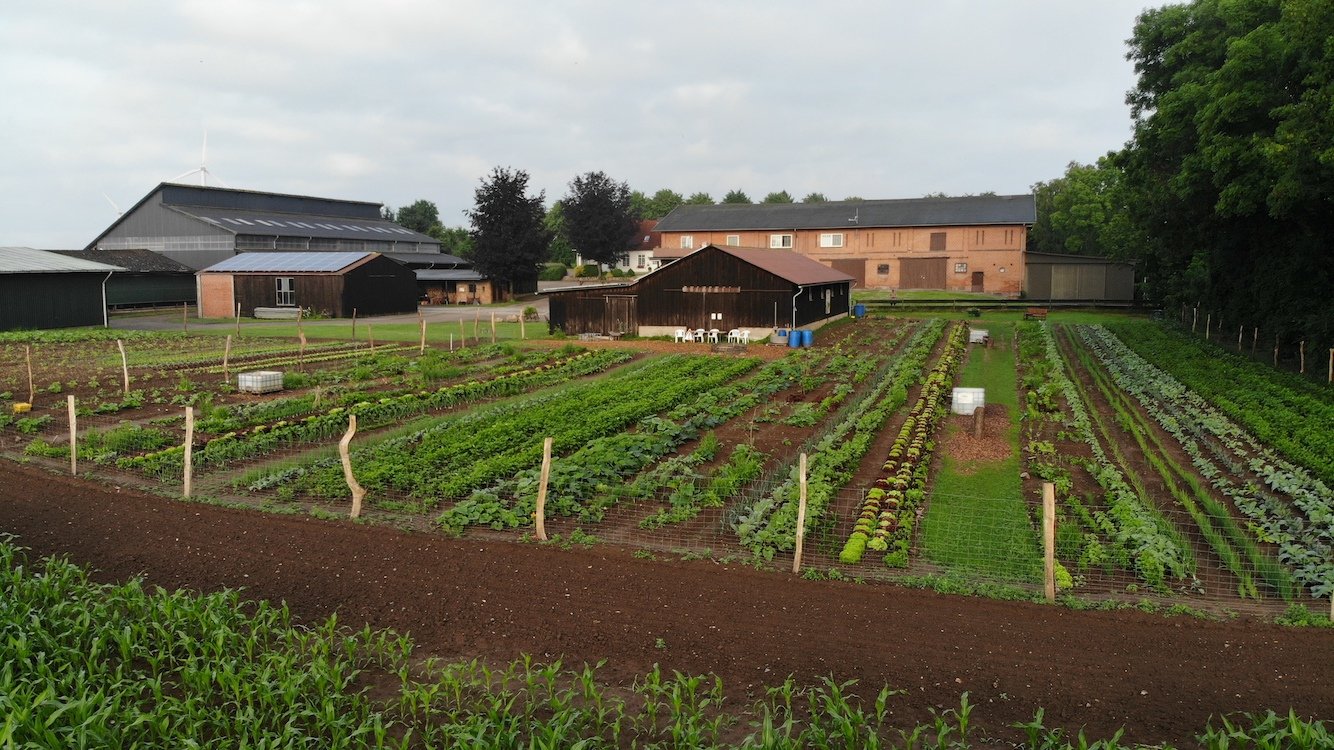 Die Hofbeete liegen, wie der Name sagt, direkt neben unserem Hof ›Gut Trenthorst‹. Hier gut zu sehen: die offenen Wasserstellen direkt am Beet.