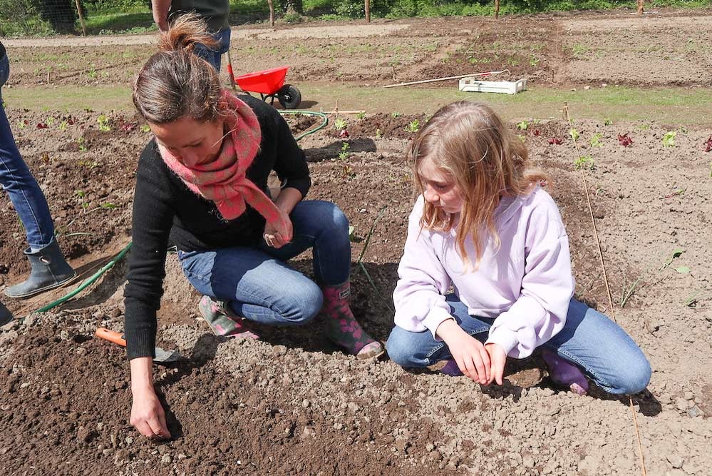 Hier werden Bohnen gesetzt. Tipp: Immer 5 Bohnen zusammenlegen – dann sind sie besser gegen Wind&Wetter geschützt ...