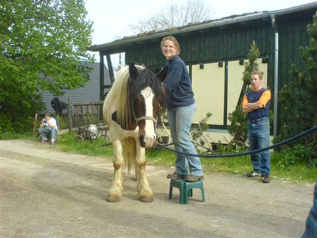 beim Entspannen- Sabine Kautzmann am Arbeiten- www.equigromm.com