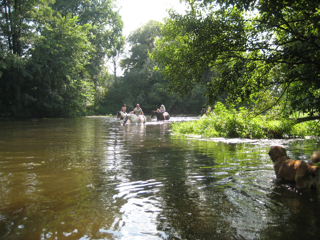 Spreedurchquerung 2010