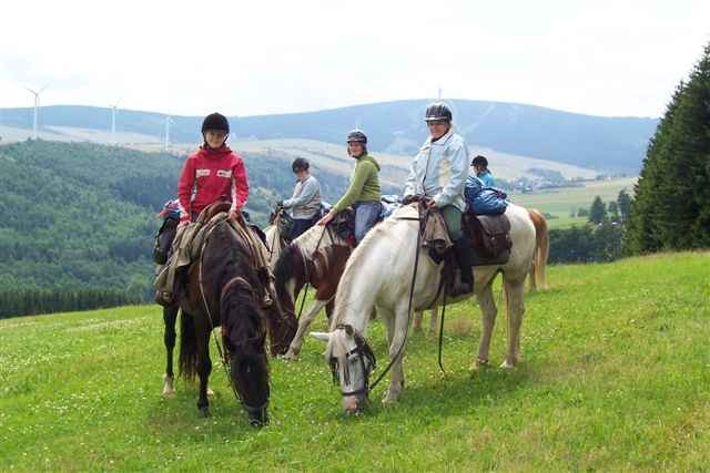 Unsere bunte Meute vor der tschechischen "Galoppwiese" Ferien 2008
