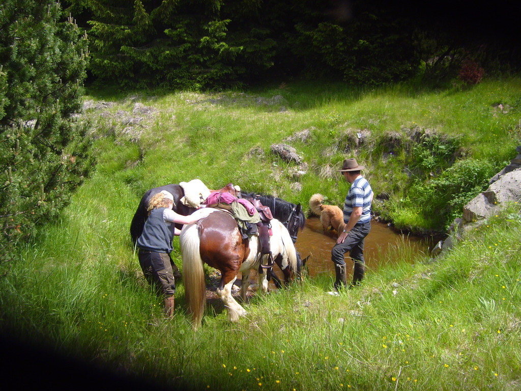 das eisenhaltige Moorwasser im Böhmische schmeckt doch