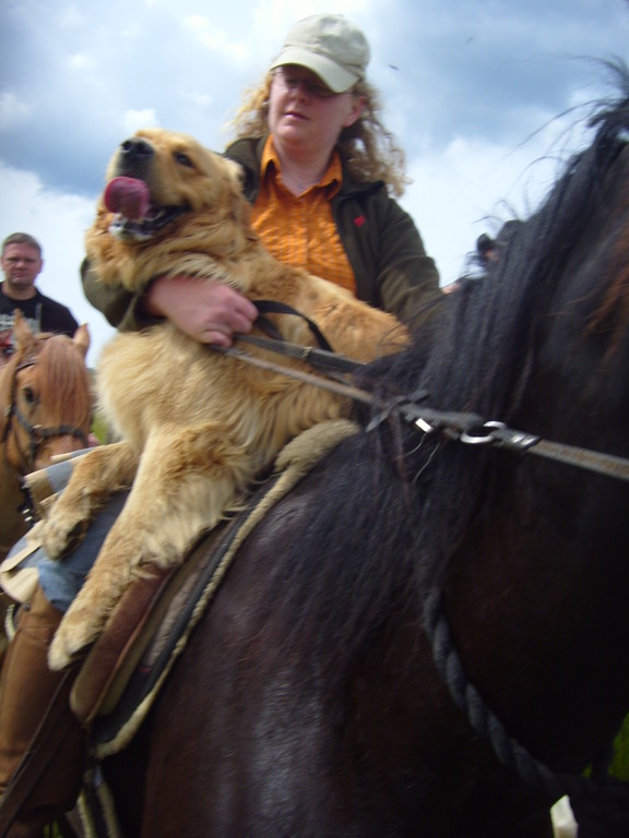 Pfote lahm- Abschleppdienst in der Pampa