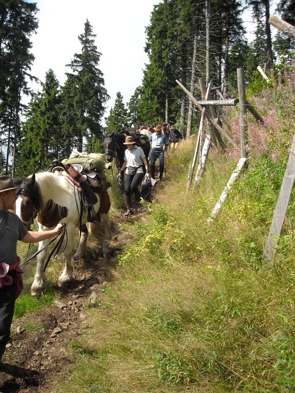 Bleßberg auf tsch. Seite 2010