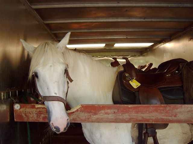 Der bequemste Weg wieder nach Hause zu kommen- z.B. aus Polen