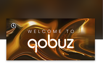 USB-DAC接続機能と Qobuz② N10/N50/N100 N1Z/3 N1A/3 Ver.4.35 N1/N5 Ver 1.03