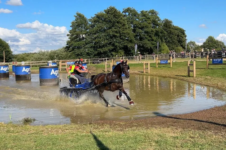 Tim Kramer & Hooverdale an der EM in Flyinge (Schweden)