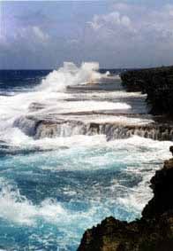 延々と次の隆起を待っている珊瑚礁が続く