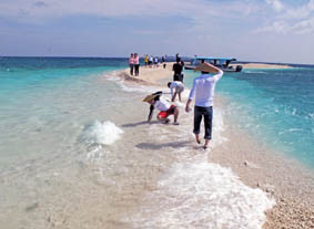 珊瑚バラスでできた島。毎年形が変わっている