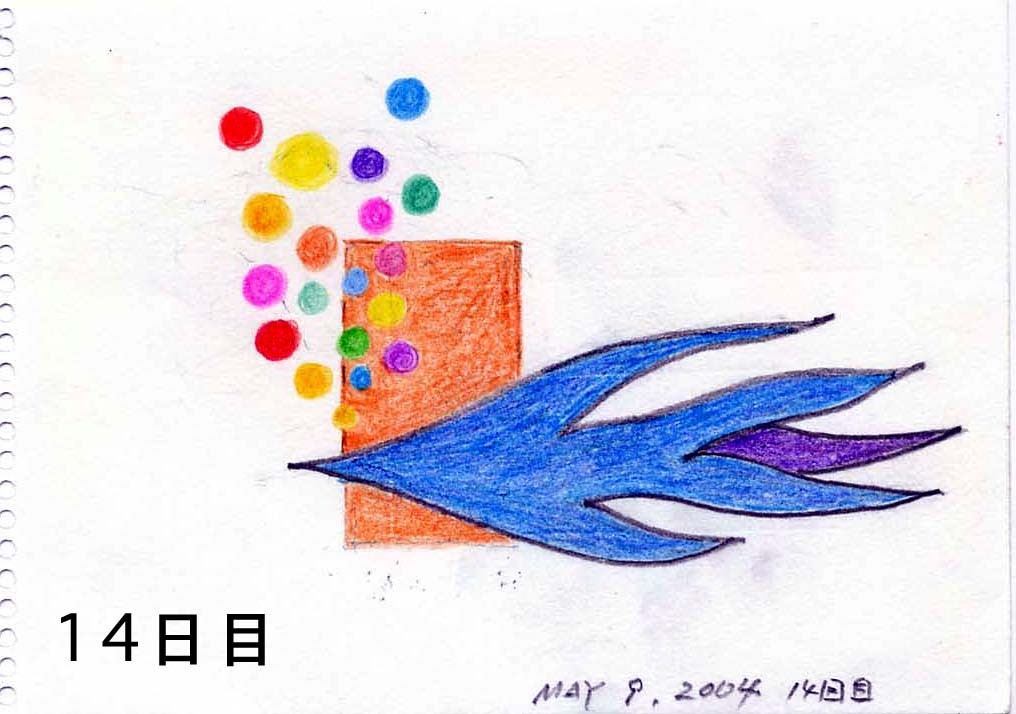 トレーニング14日目