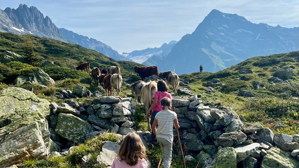 Die Einfachheit des Alplebens – Herz und Seele im Einklang mit der Natur.