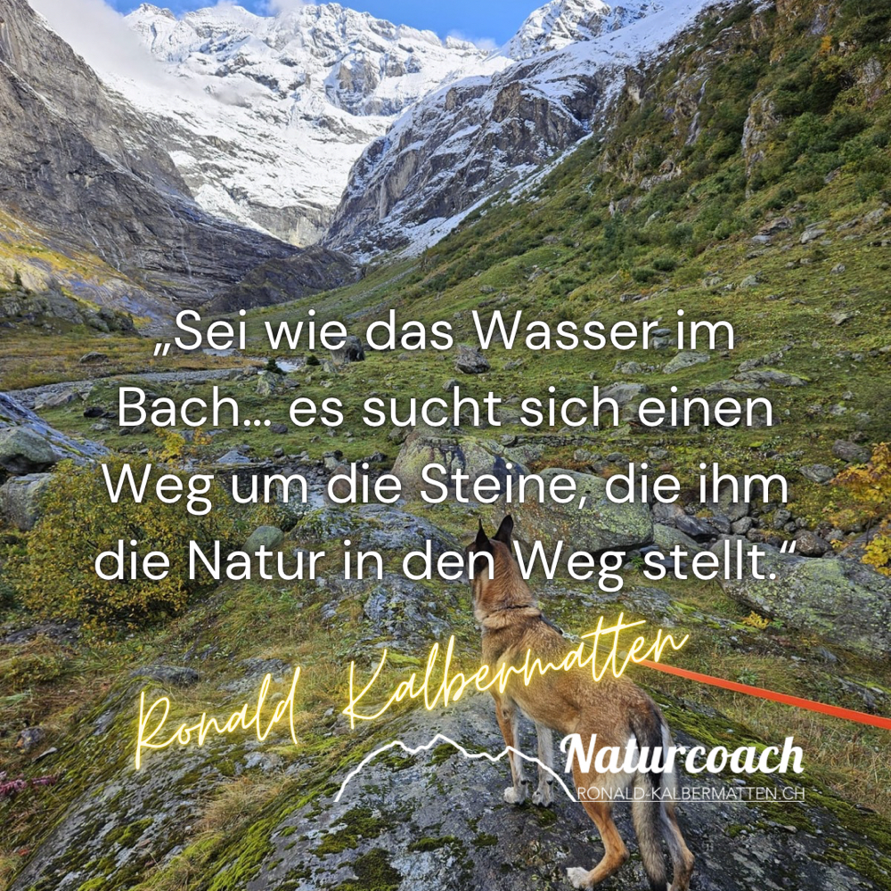 „to be water my friend“ - Bruce Lee