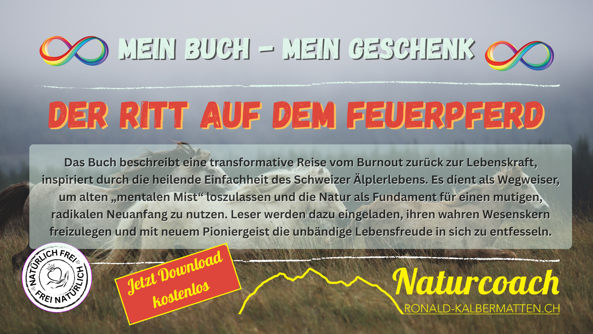 Buch - Ritt auf dem Feuerpferd